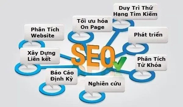 SEO và marketing